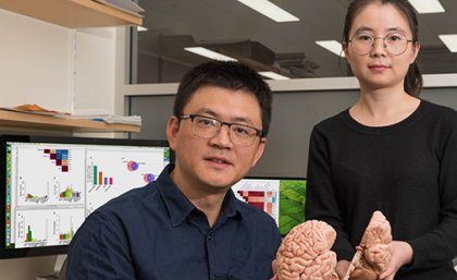 Professor Jian Yang and Dr Ting Qi